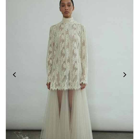 Elegant Cream Lace Long Sleeve Tunic - Picture 4 of 11